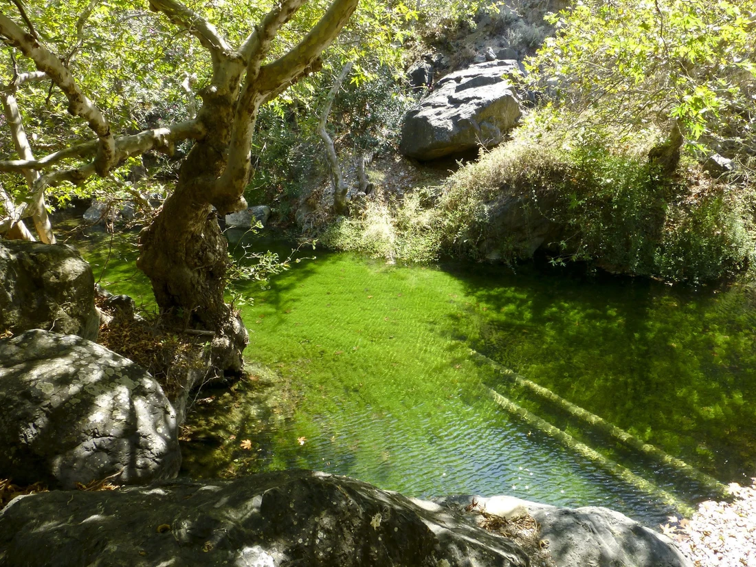 discover crete