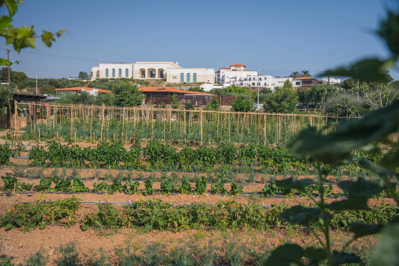 Creta Maris: Green experiences