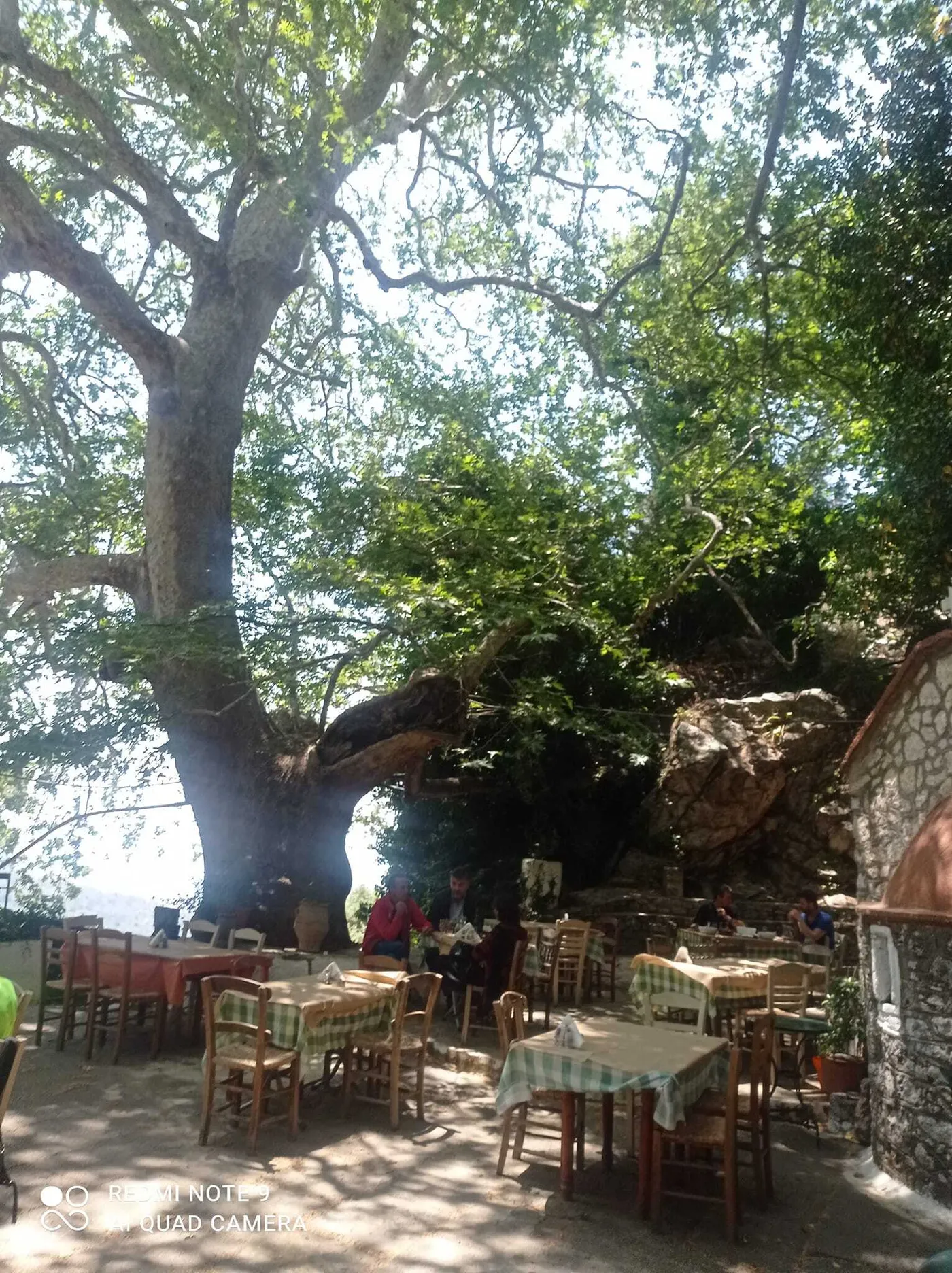 Agia Paraskevi Taverna: Authentic cretan flavours in the heart of Christos, Ierapetra