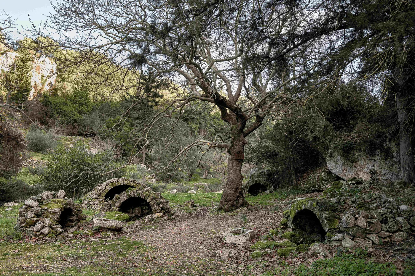 Exploring Creta: A Stroll Through the Villages of Apokoronas!