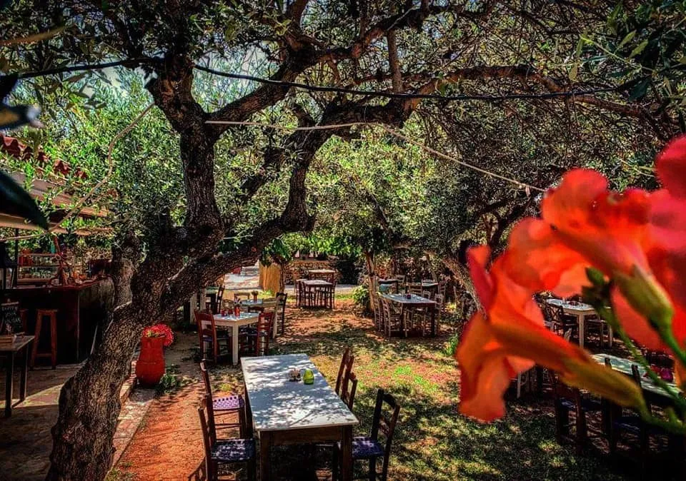 Archontiko Taverna: A traditional table in a courtyard full of Crete in Agia Marina