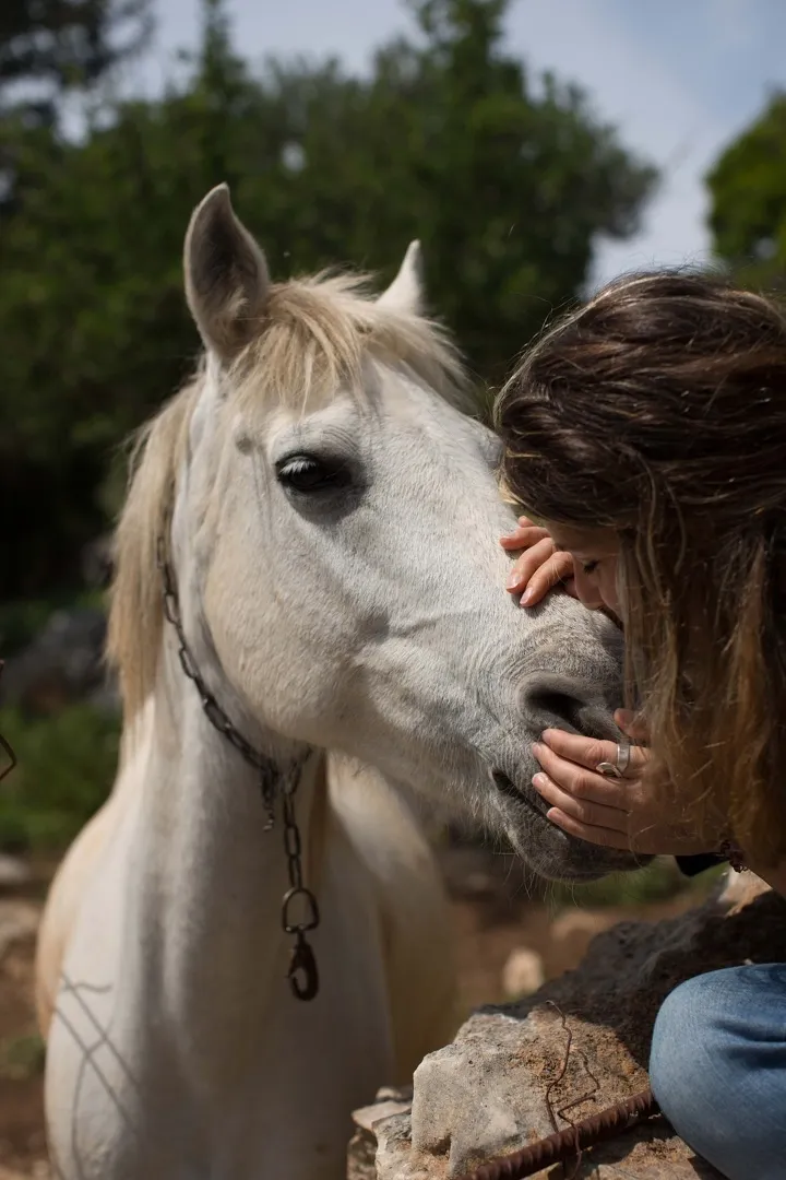 Horseback Riding in Asterousia: Prepare to Be Enchanted!