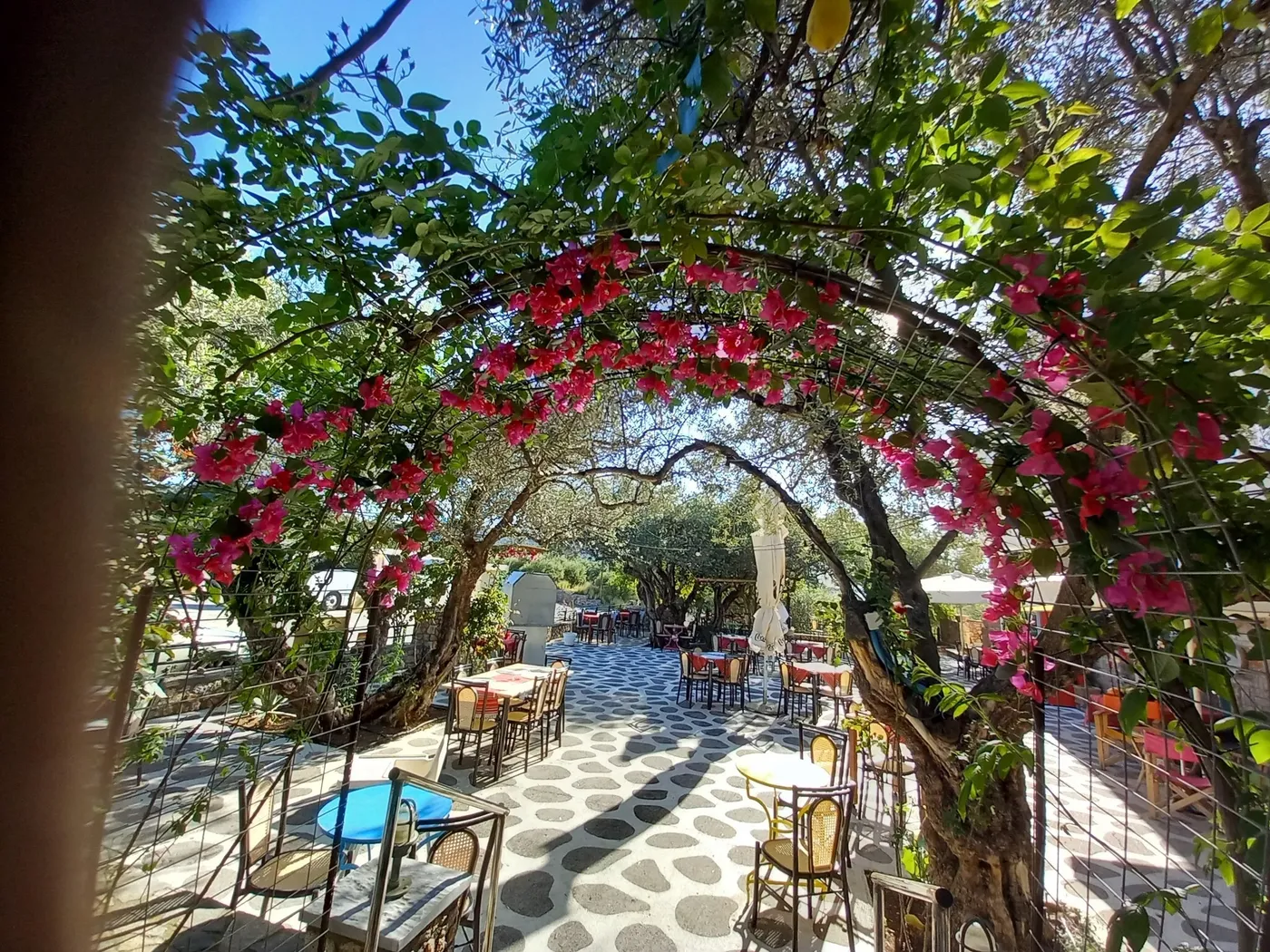 Paradeisos: A traditional taverna that truly lives up to its name, right in the heart of Kritsa