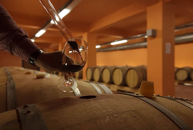 Exploring Zacharioudakis Estate: A journey of tasting and discovery in Plouti