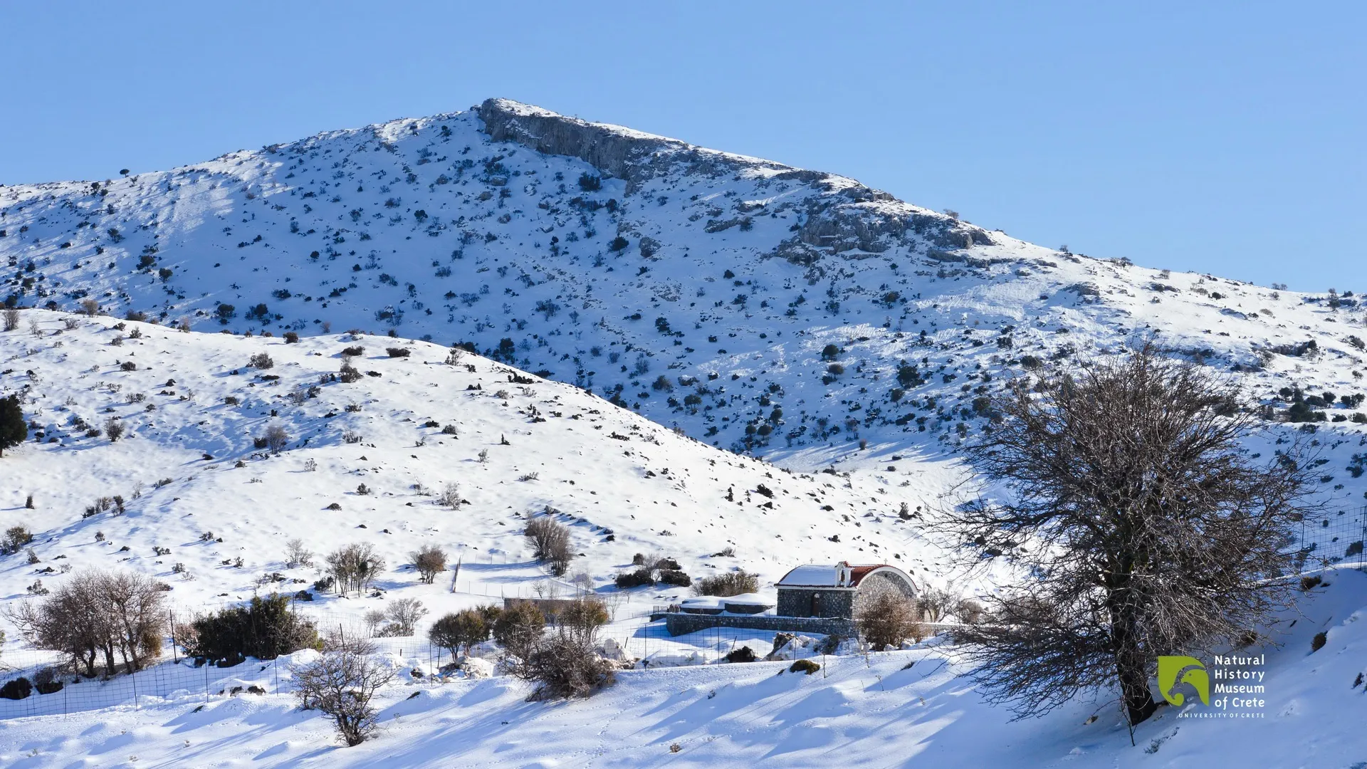 Nature Getaway: A Day at Livadi Plateau!