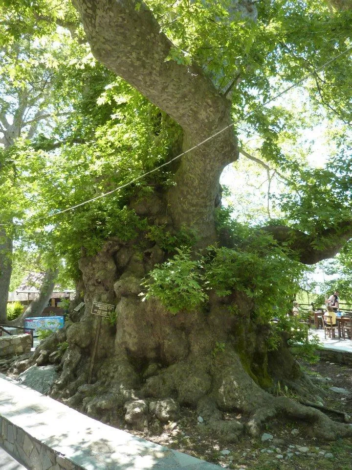 A Day Trip to the Historic Village of Krasi!