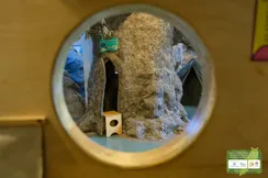 Christmas at the Natural History Museum of Crete