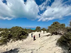 Chrissi Island: Protection Measures Continue in 2025 to Preserve a True Paradise