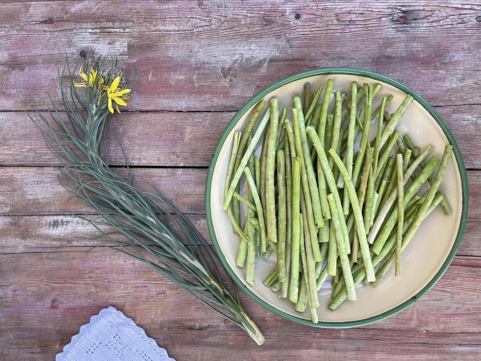 Discovering and Cooking Asphodelaceae: A Taste of Local Cuisine