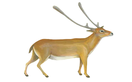 Endemic Pleistocene mammals