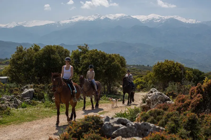 4 Perfect Spots for Horseback Riding in Crete!