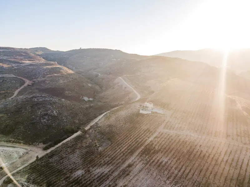 Wine: A Mystical Bond with Crete