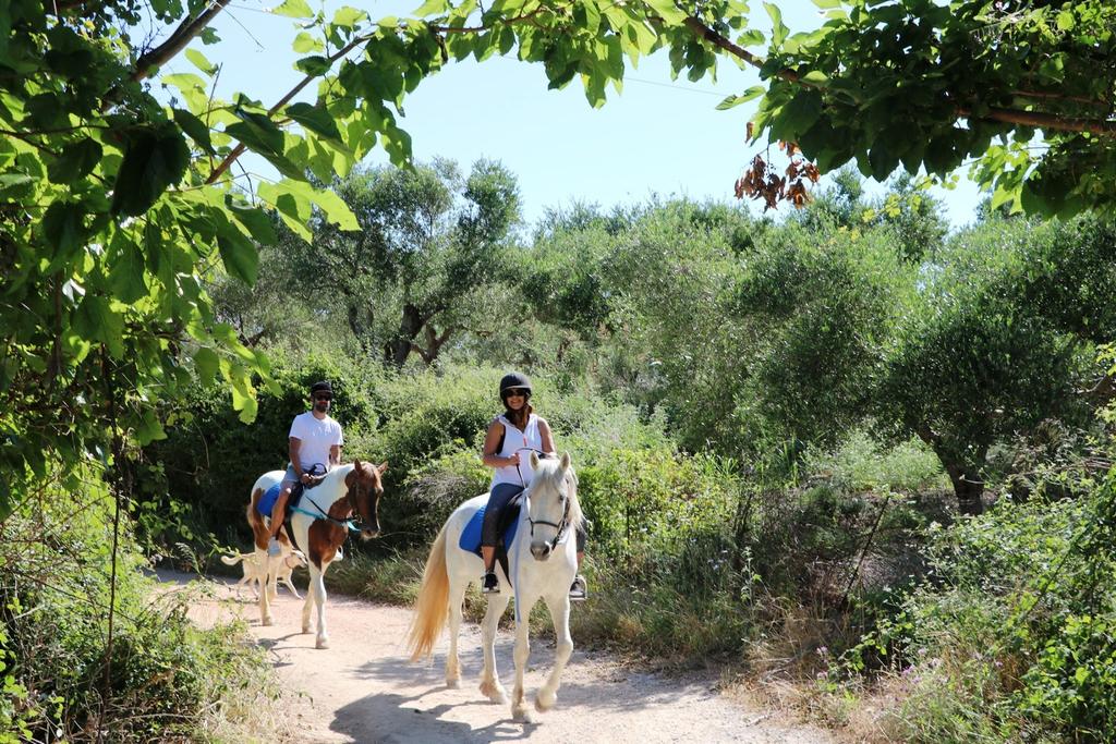 Zoraida's Horse Riding: The Zen horse ride