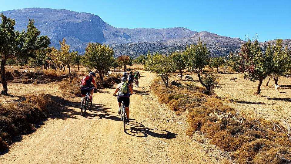 The HUB: Katharo Plateau Loop Bike Tour