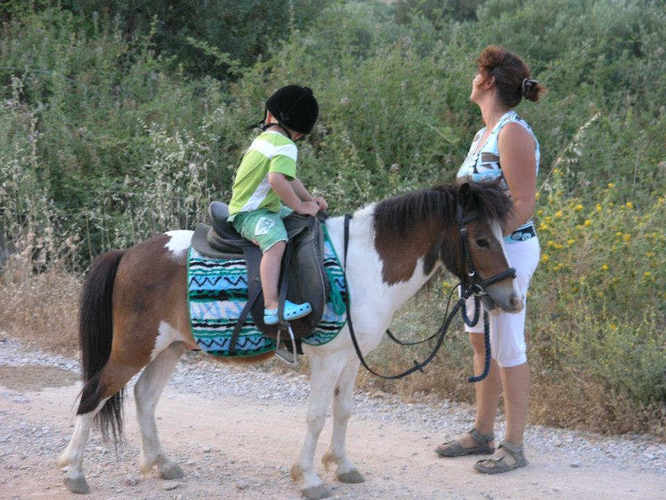 Zoraida's Horse Riding: Exploring the Countryside: Guided Horseback Riding Adventure for Children