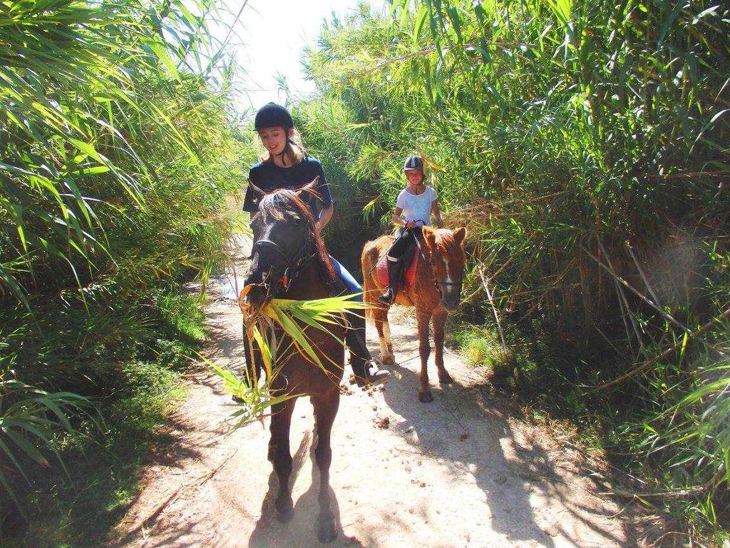 Zoraida's Horse Riding: Exploring Pure Nature on Horseback