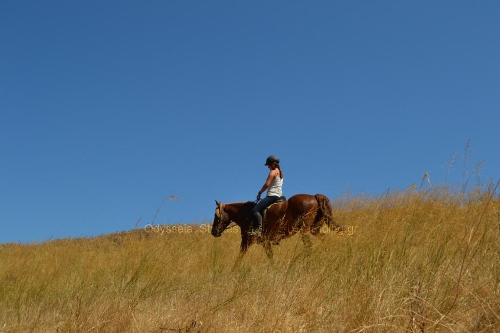 Δίωρη βόλτα ιππασίας στο Λασίθι με την Odysseia Stables