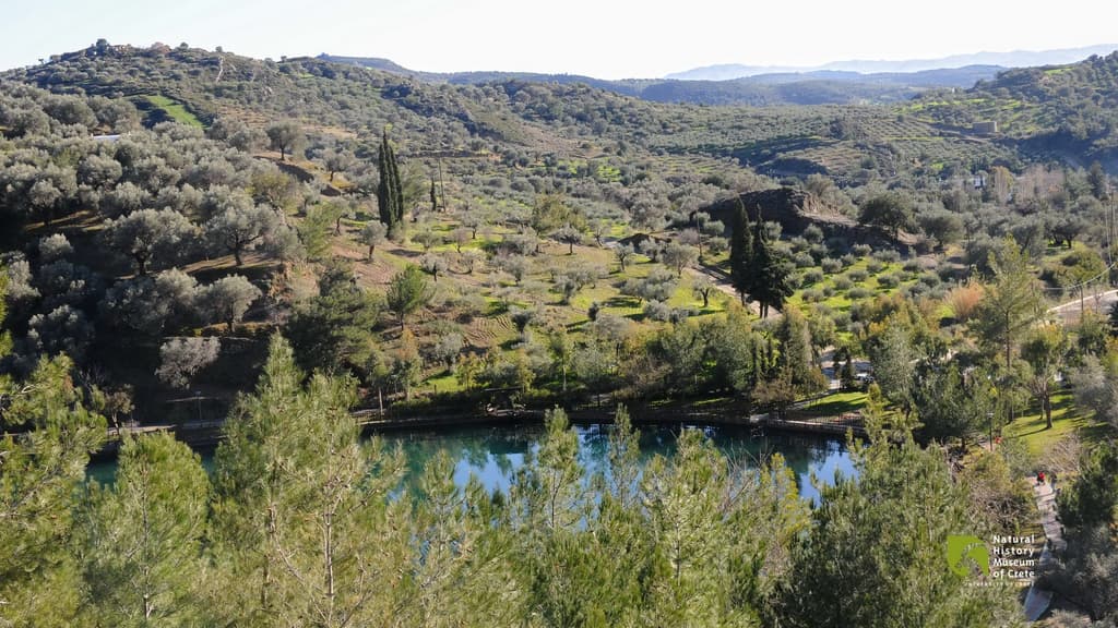 Λίμνη Ζαρού