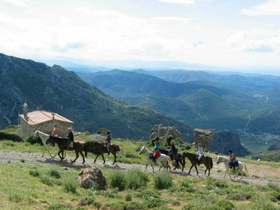 Odysseia Stables: Daily Horseback Rides at Aposelemis Dam