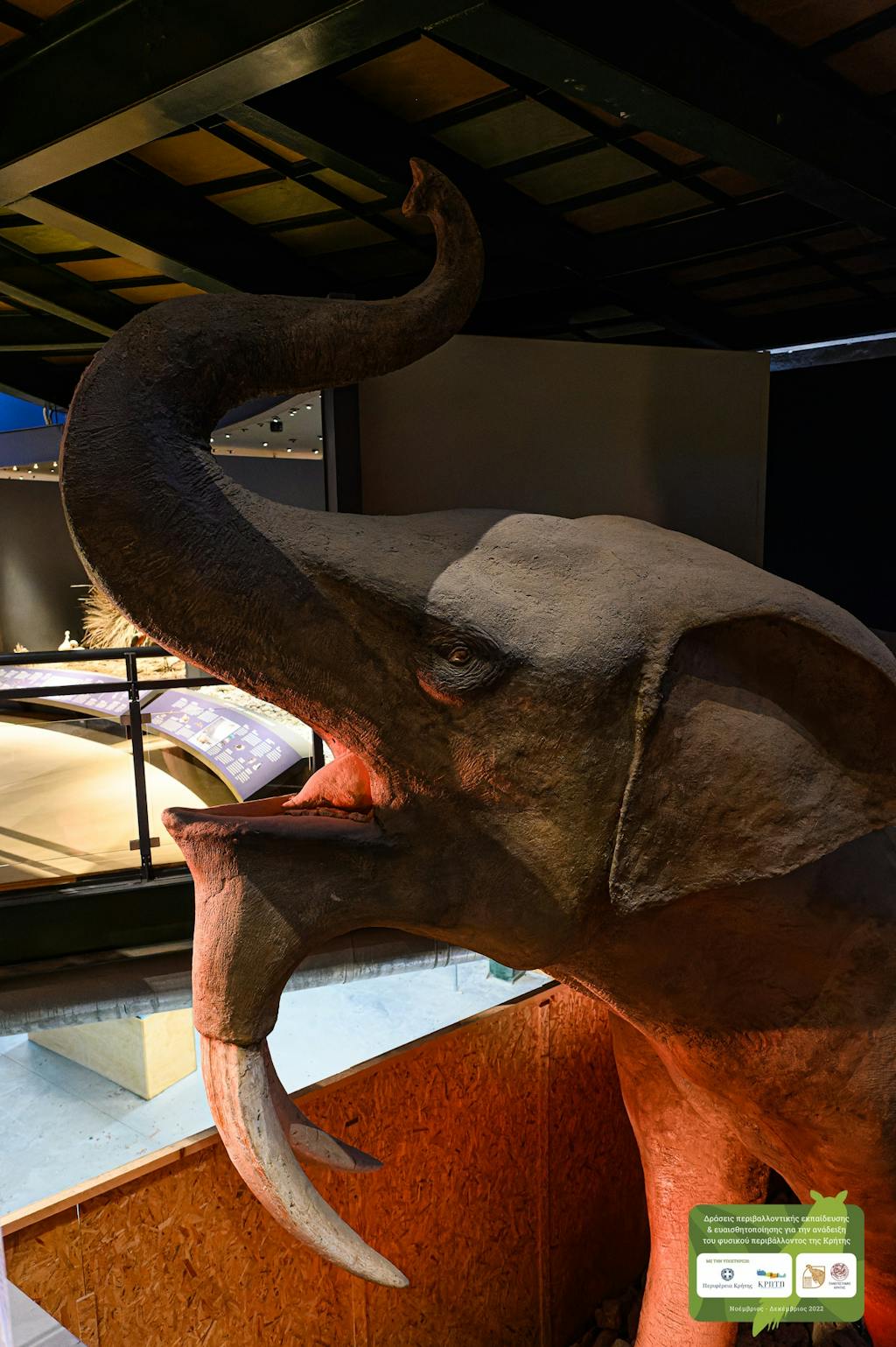 A Deinotherium in Crete: An Impressive Exhibit