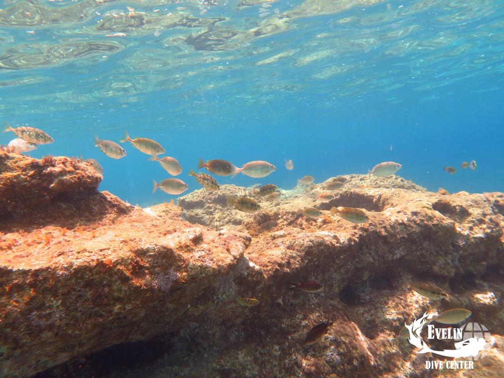 Evelin Dive Center: Κατάδυση στα Σχοινάρια