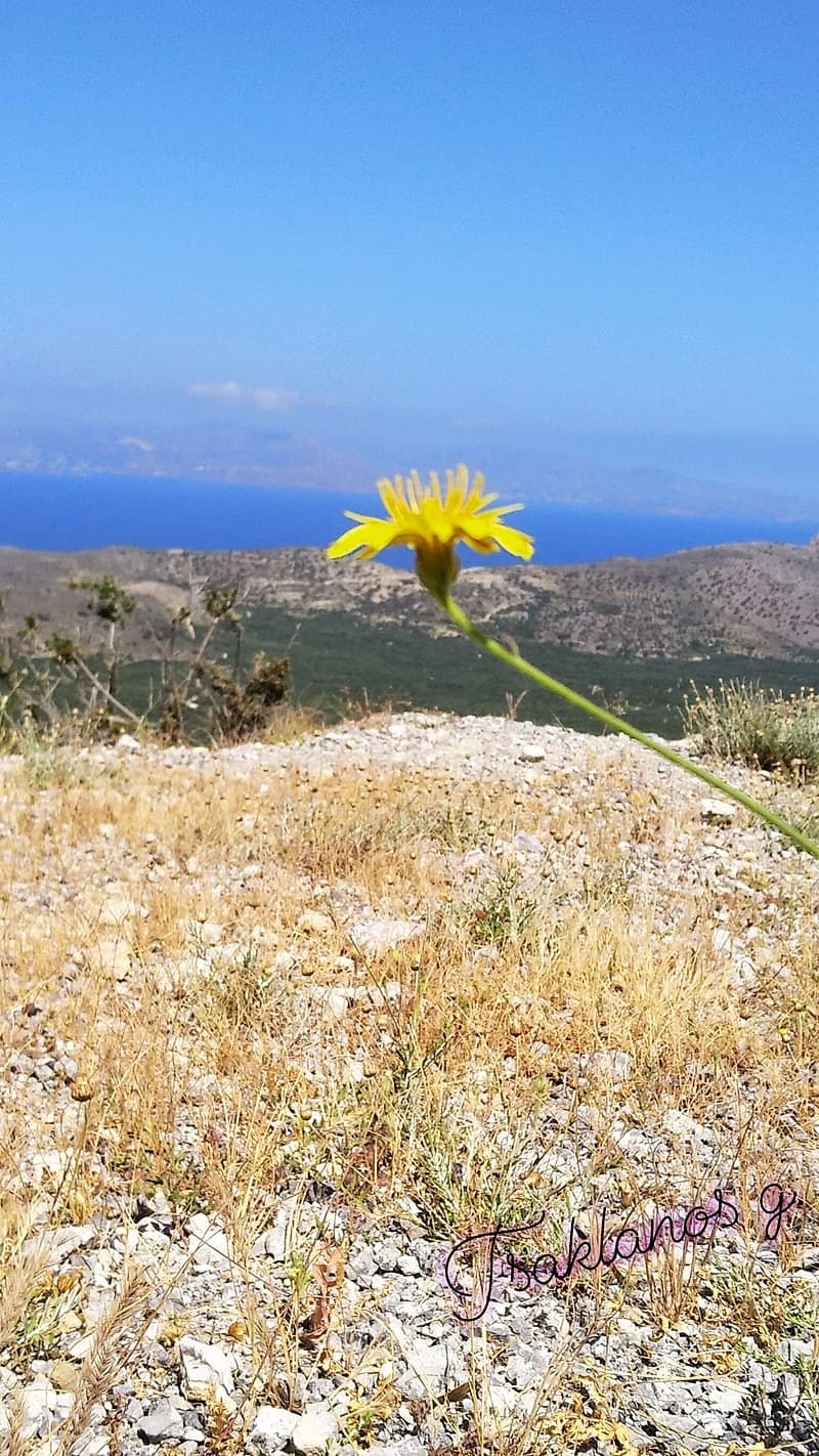 Η Θρυπτή με τα παραδοσιακά σπίτια!