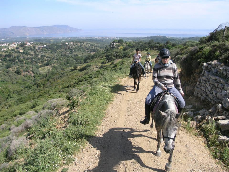 Zoraida's Horse Riding: Ιππασία στο... μονοπάτι του ελαιολάδου!