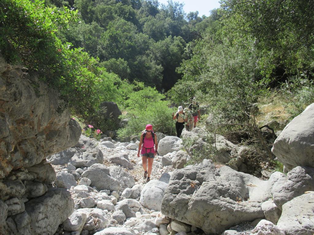 Explor.gr: Traversing the Enchanting Kritsa Gorge