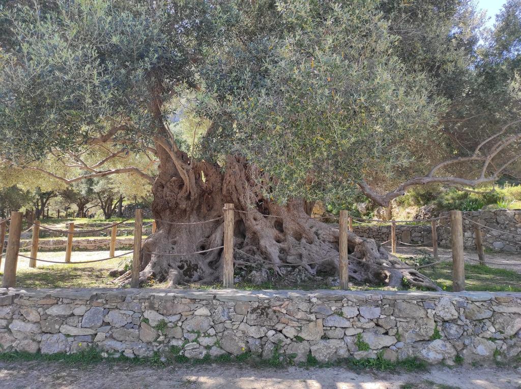 Εκδρομή Safari στην οροσειρά της Θρυπτής με το explor.gr