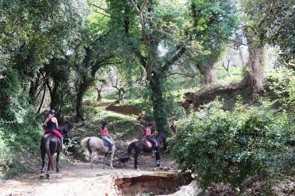 Zoraïda's Horse-Riding: Advanced Riders' Inland Kournas Journey: Exploring Fantastic Landscapes