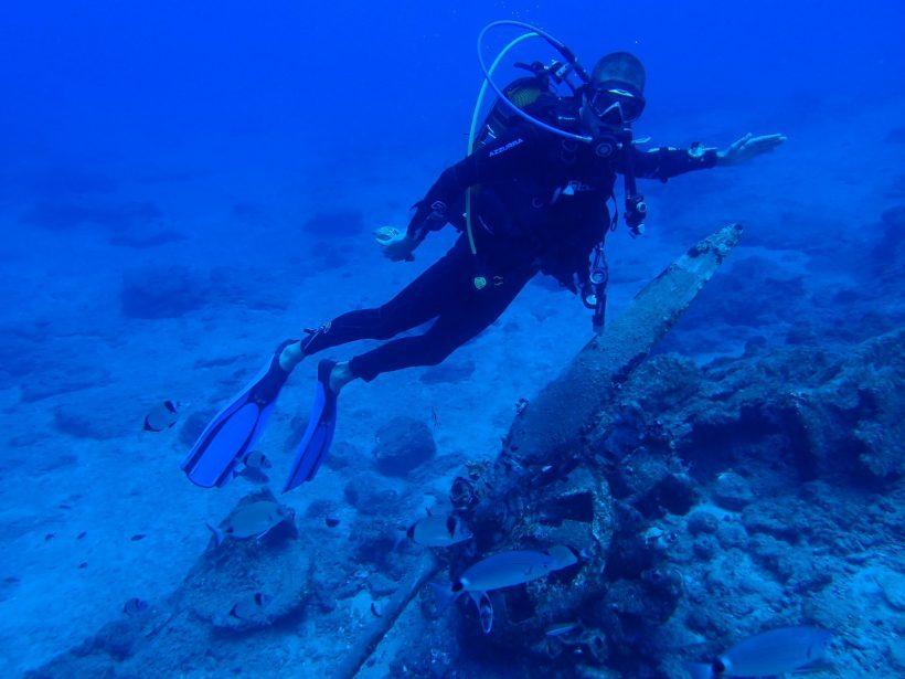 Creta's Happy Divers: Diving in the Reef Just Outside Agios Nikolaos Port: Suitable for All Divers