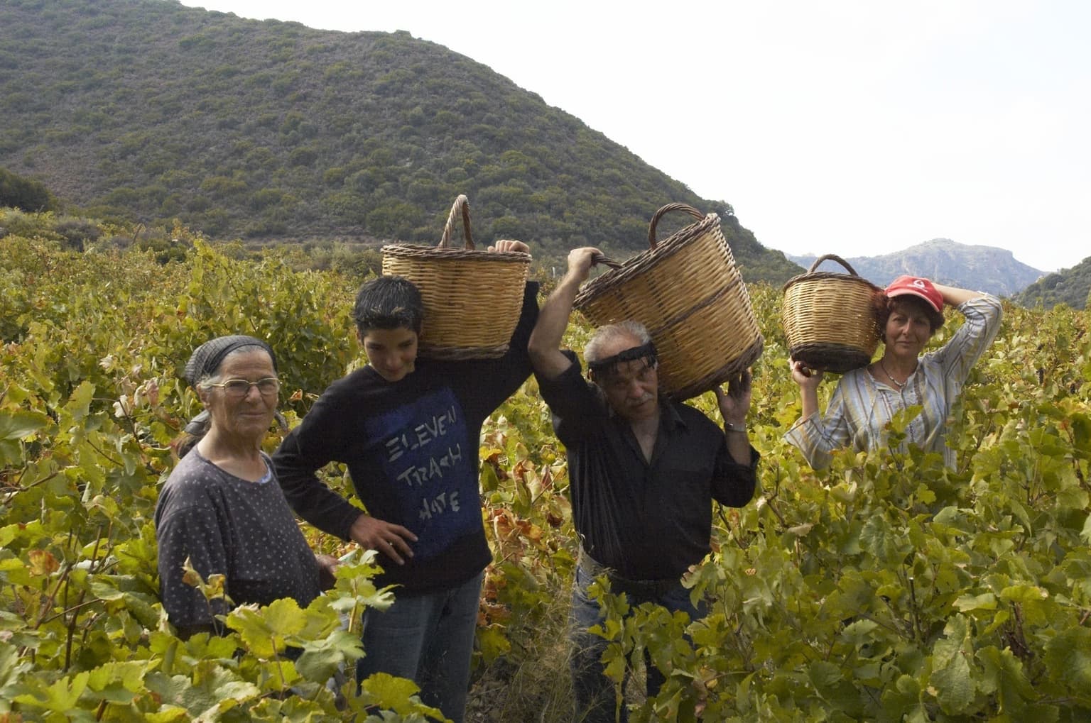 Heraklion: Discover 3 Villages with a Winemaking Identity!