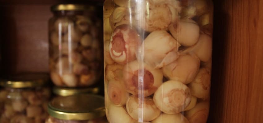 Pickled Bulbs