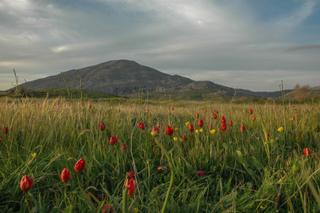 discover crete