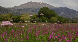 discover crete