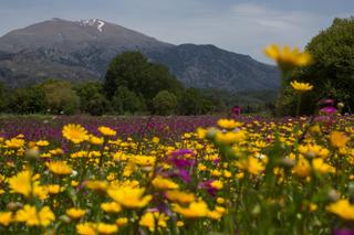 discover crete