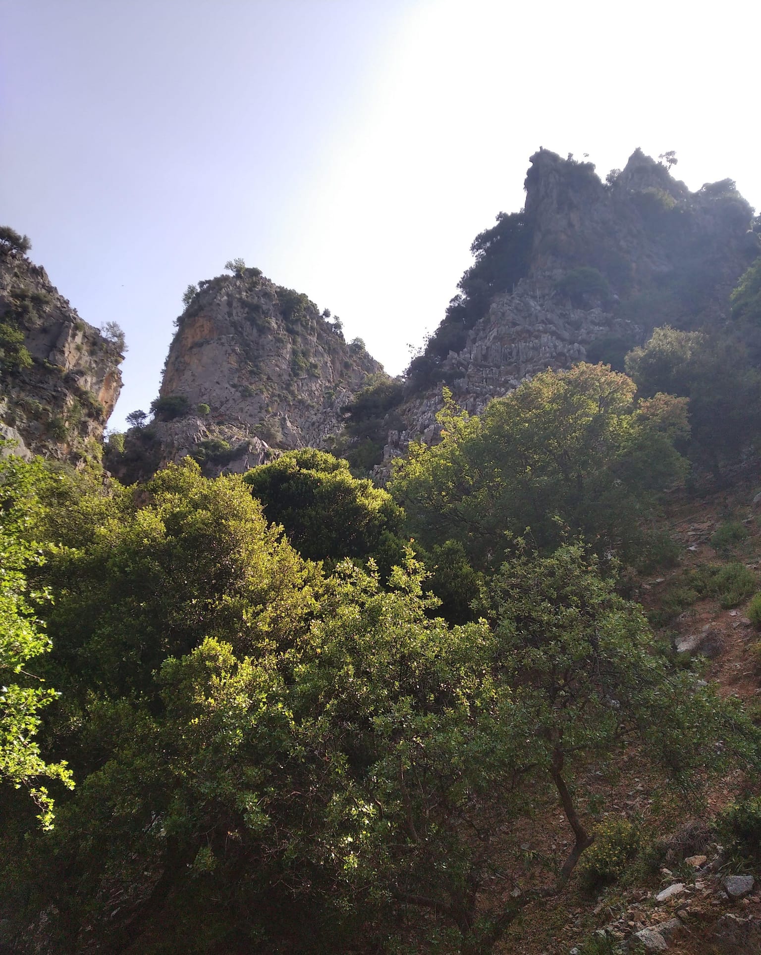 Hiking through the Rosa Gorge