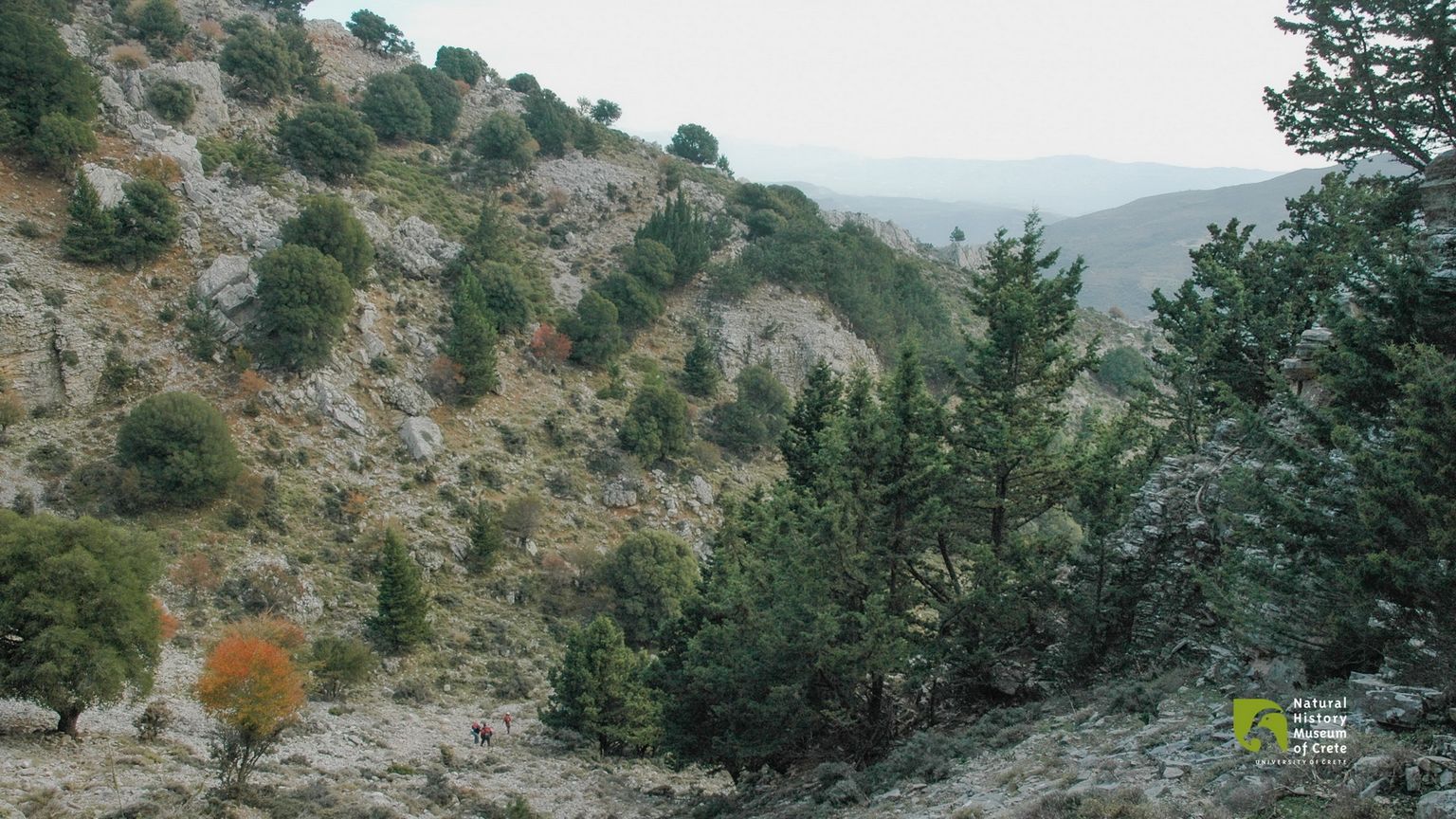 Voriziano Gorge