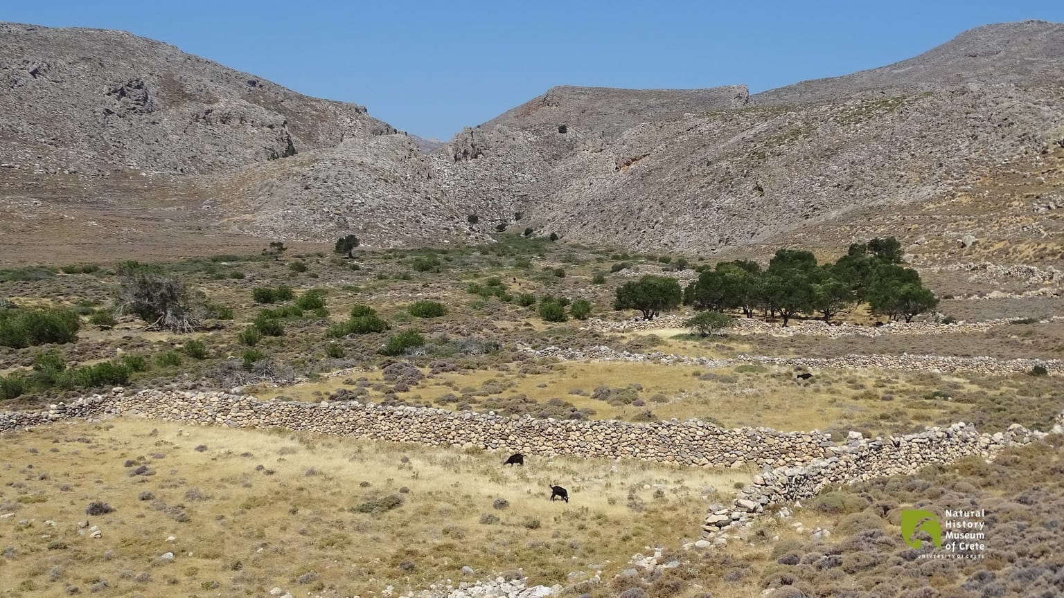 Hiking the Chochlakies Gorge