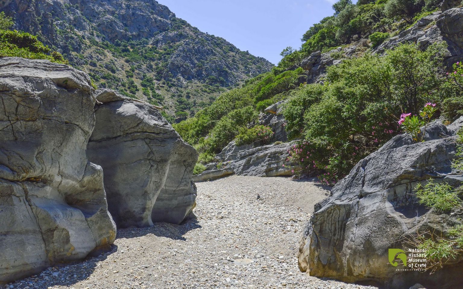 Φαράγγι Αποσελέμη