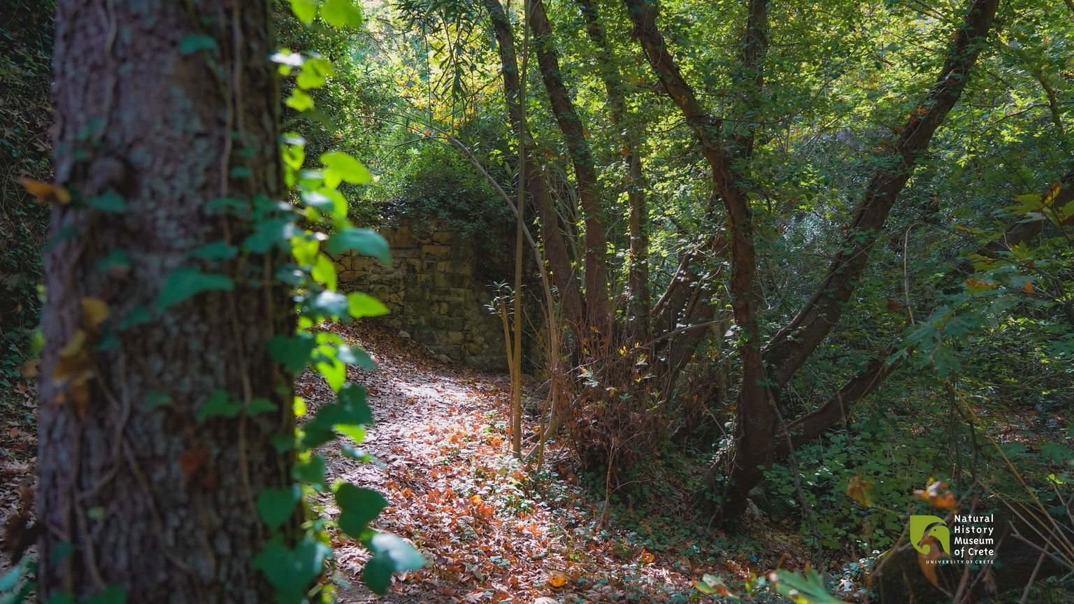 Αστρακιανό φαράγγι