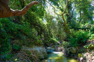 Κνωσανό φαράγγι ή της Αγίας Ειρήνης