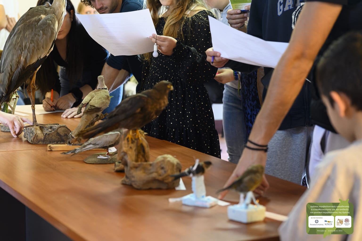 Discover the 3 Natural History Museums in Crete!