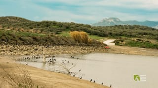 Φράγμα Αρμανωγείων: τόπος μεταναστευτικών πουλιών