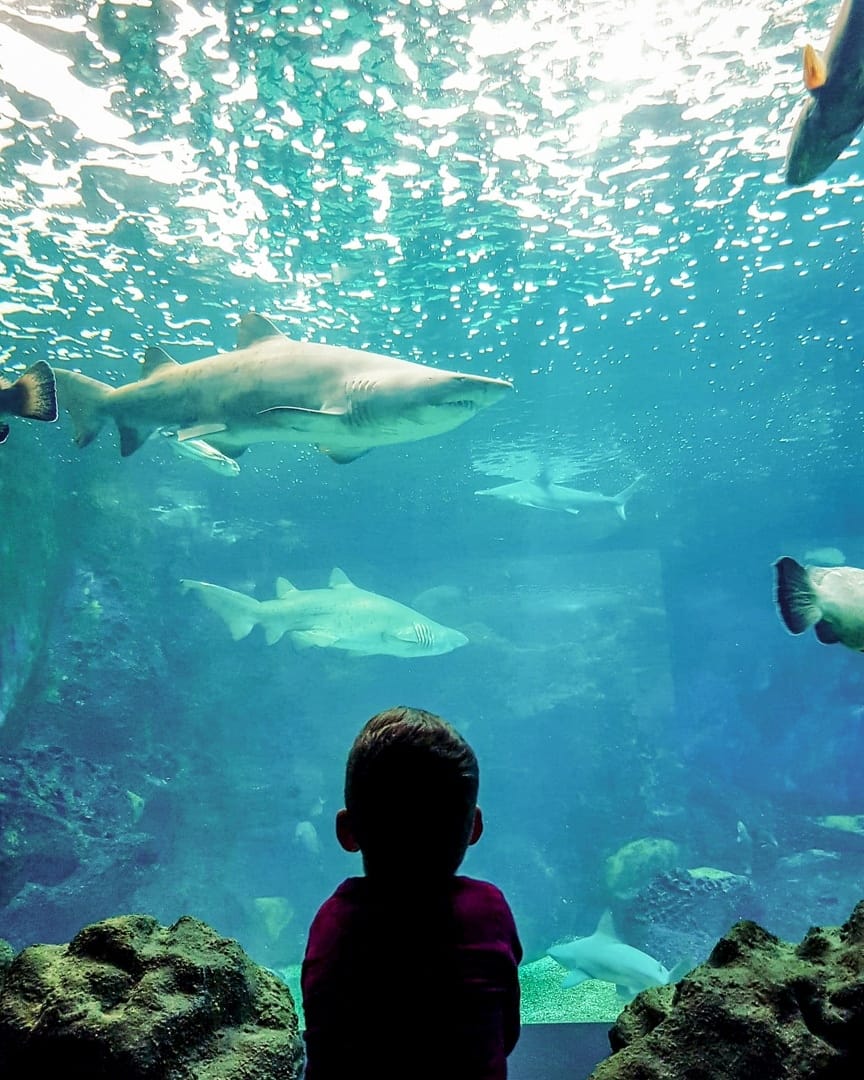 A Fun-Filled Day with Kids, Just 20 Minutes from Heraklion!