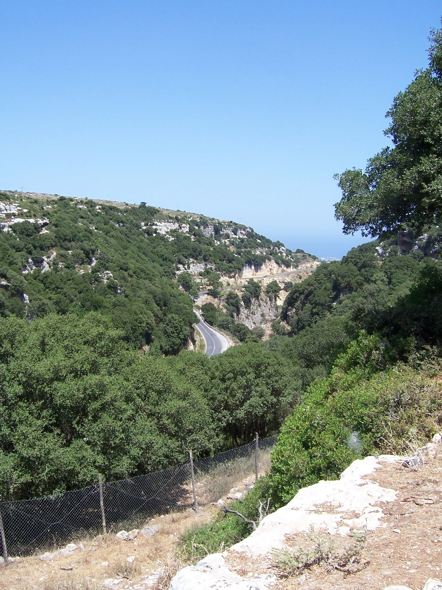 Arkadi Gorge