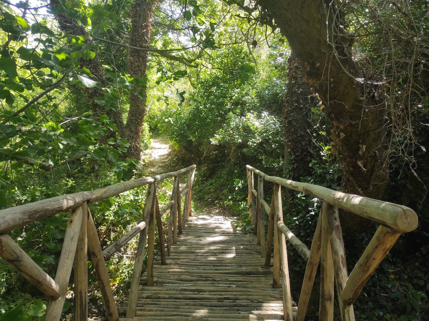 Φαράγγι της Σπηλιώτισσας (Χουδέτσι)