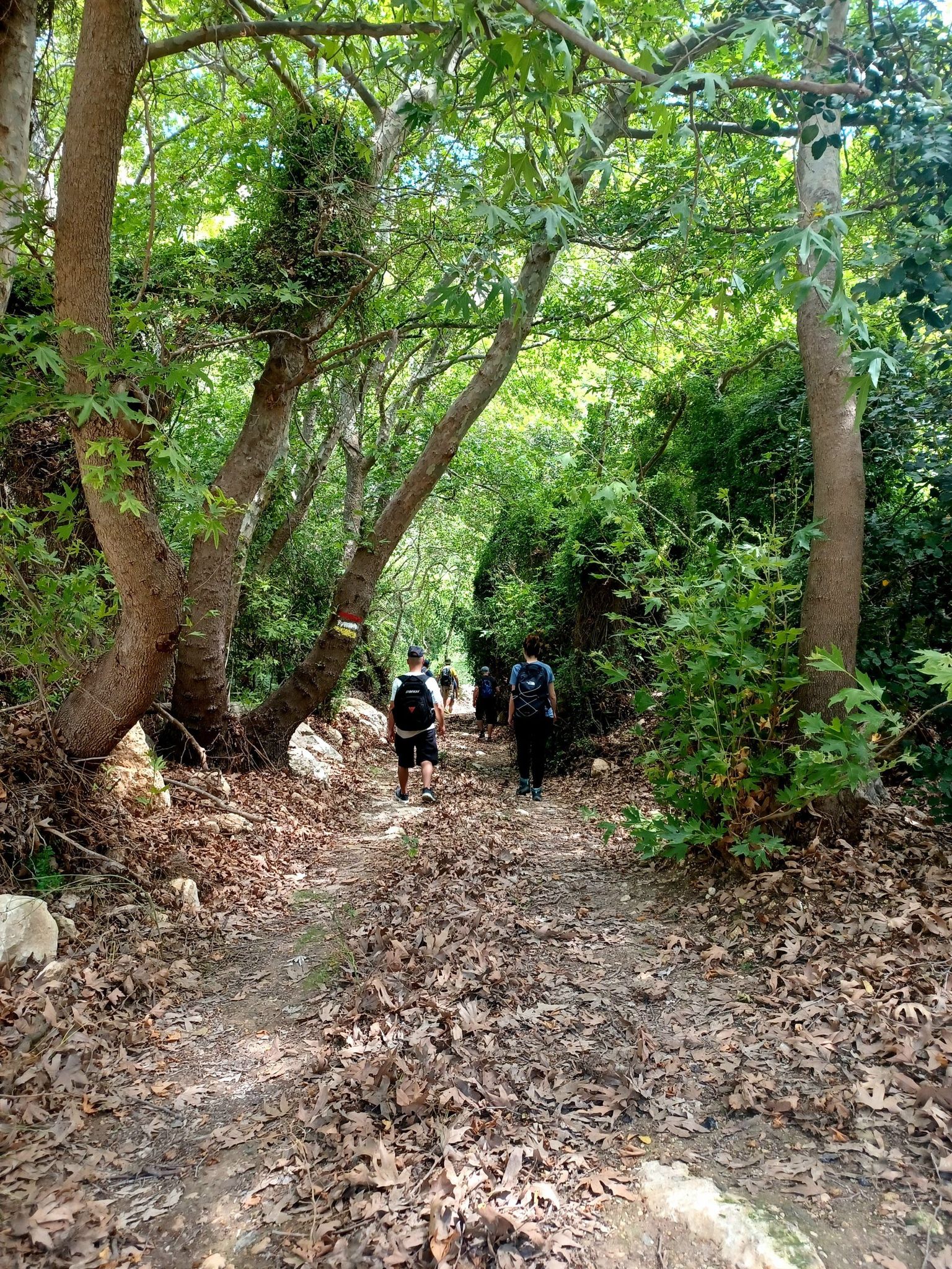 Agii Pantes gorge