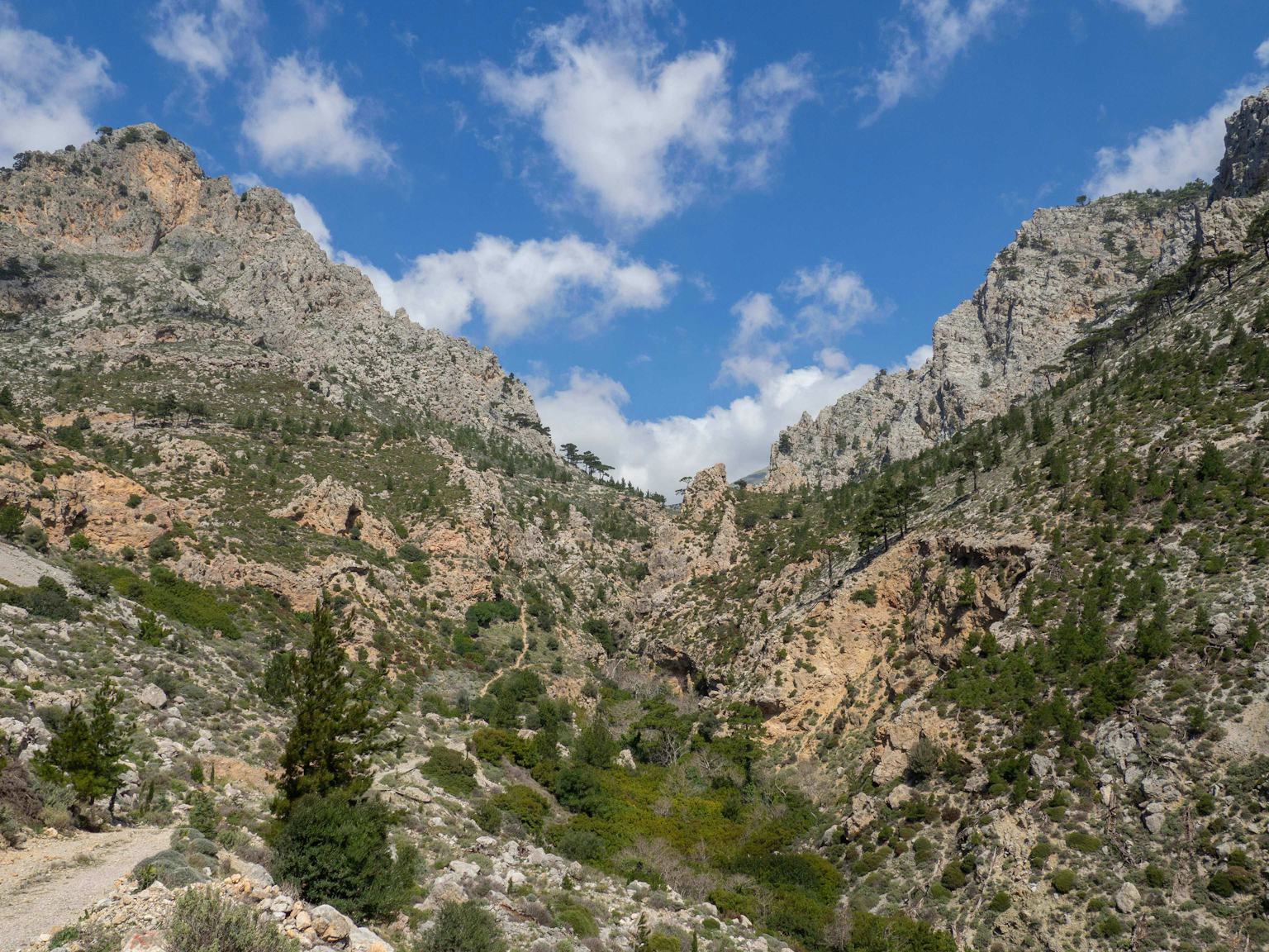 Exploring the Butterfly Gorge of Ierapetra in a Day