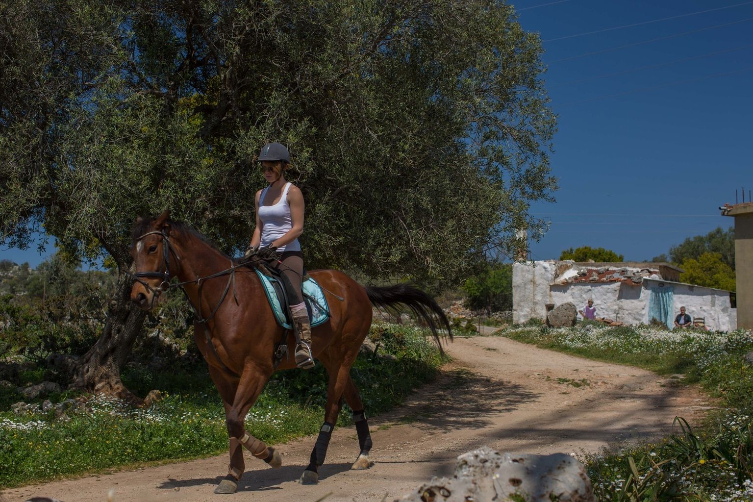 Horseback Riding for Everyone in the Municipality of Hersonissos!